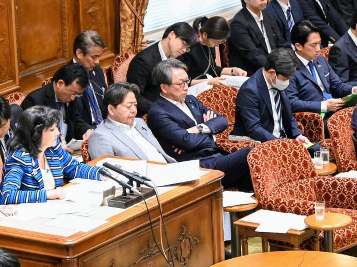 野党｢外国人入れんな｣自民｢入れる｣野｢じゃあ最低限の法整備しろ｣自｢やだ｣←そりゃ移民が反日化するわ